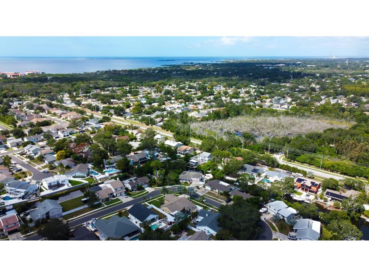 4831 Blue Jay Circle Palm Harbor FL 34683 TB8436972 image58