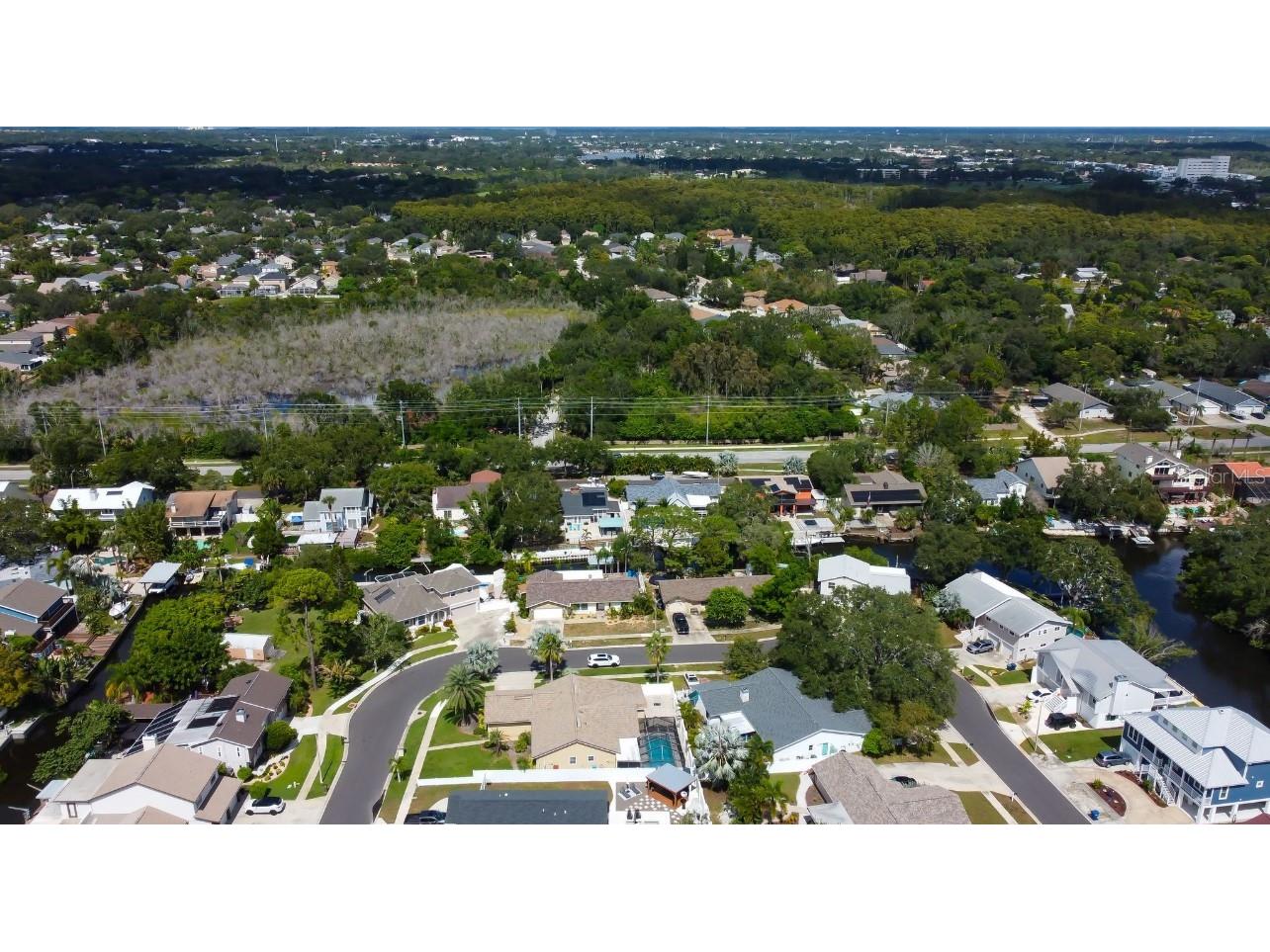 4831 Blue Jay Circle Palm Harbor FL 34683 TB8436972 image59