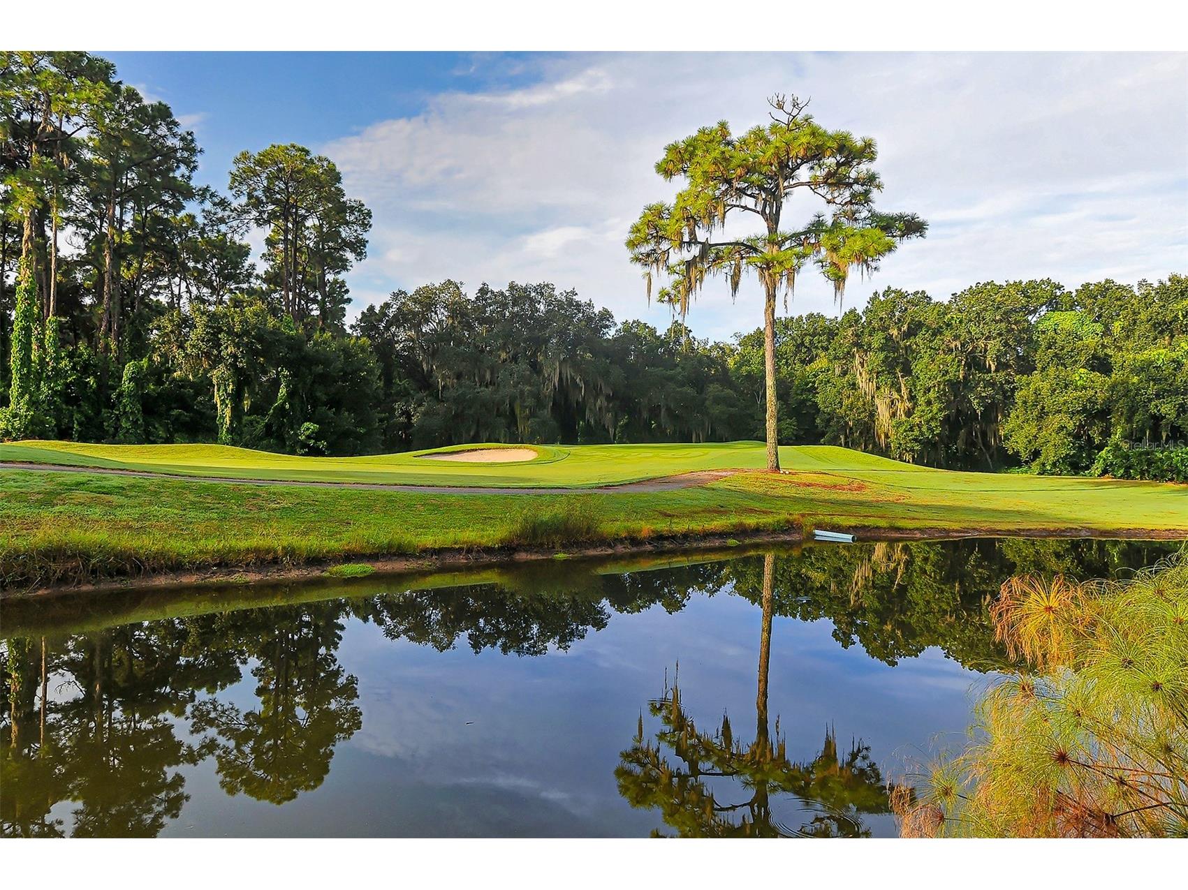 4831 Greencroft Road Sarasota FL 34235 A4687508 image58