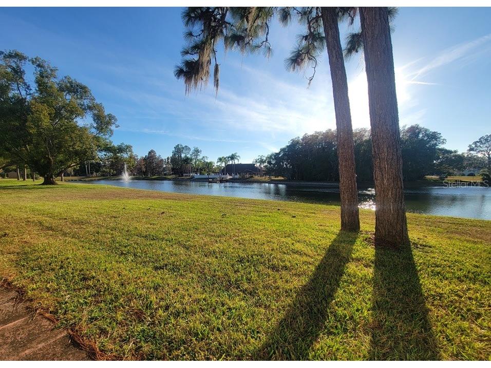 4831 Grist Mill Circle New Port Richey FL 34655 W7881216 image23