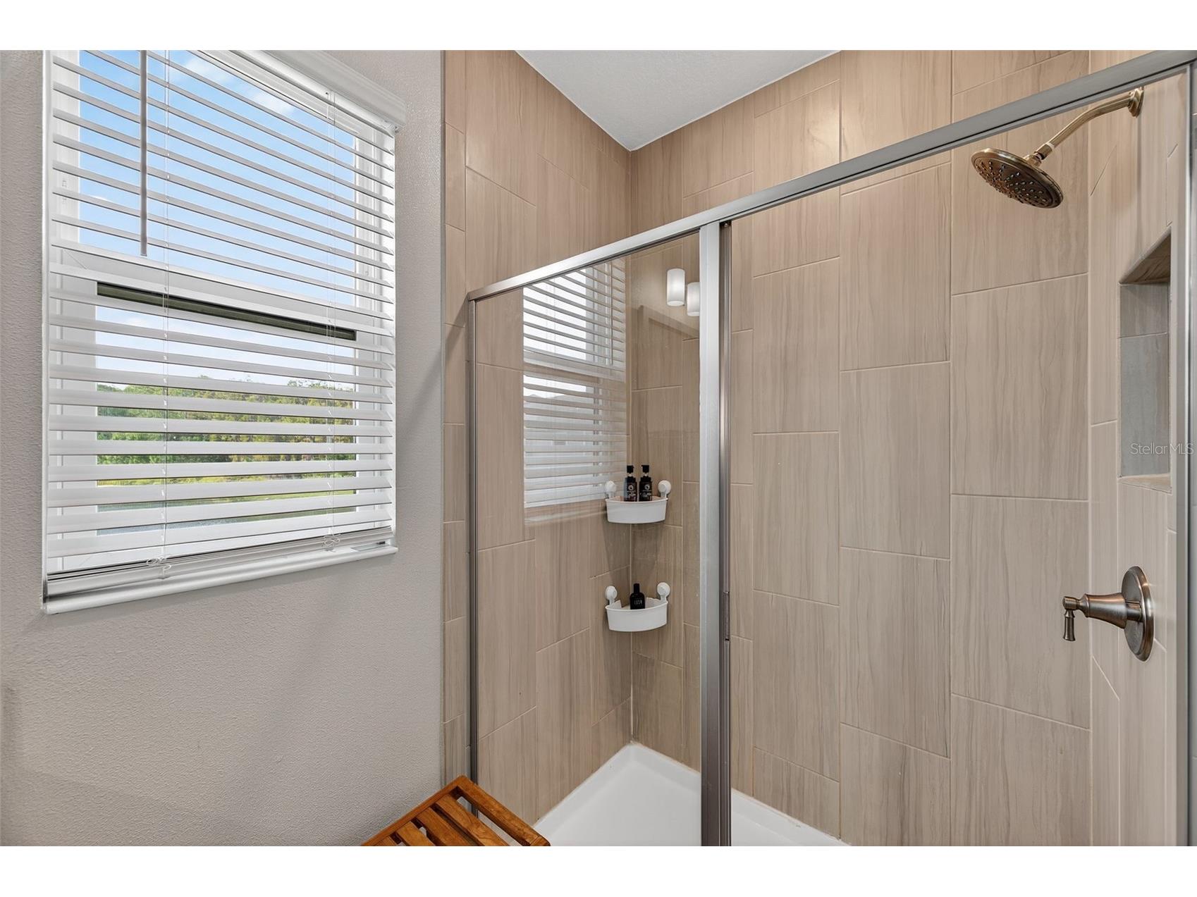 4831 Isola Court Wesley Chapel FL 33543 TB8441269 image37