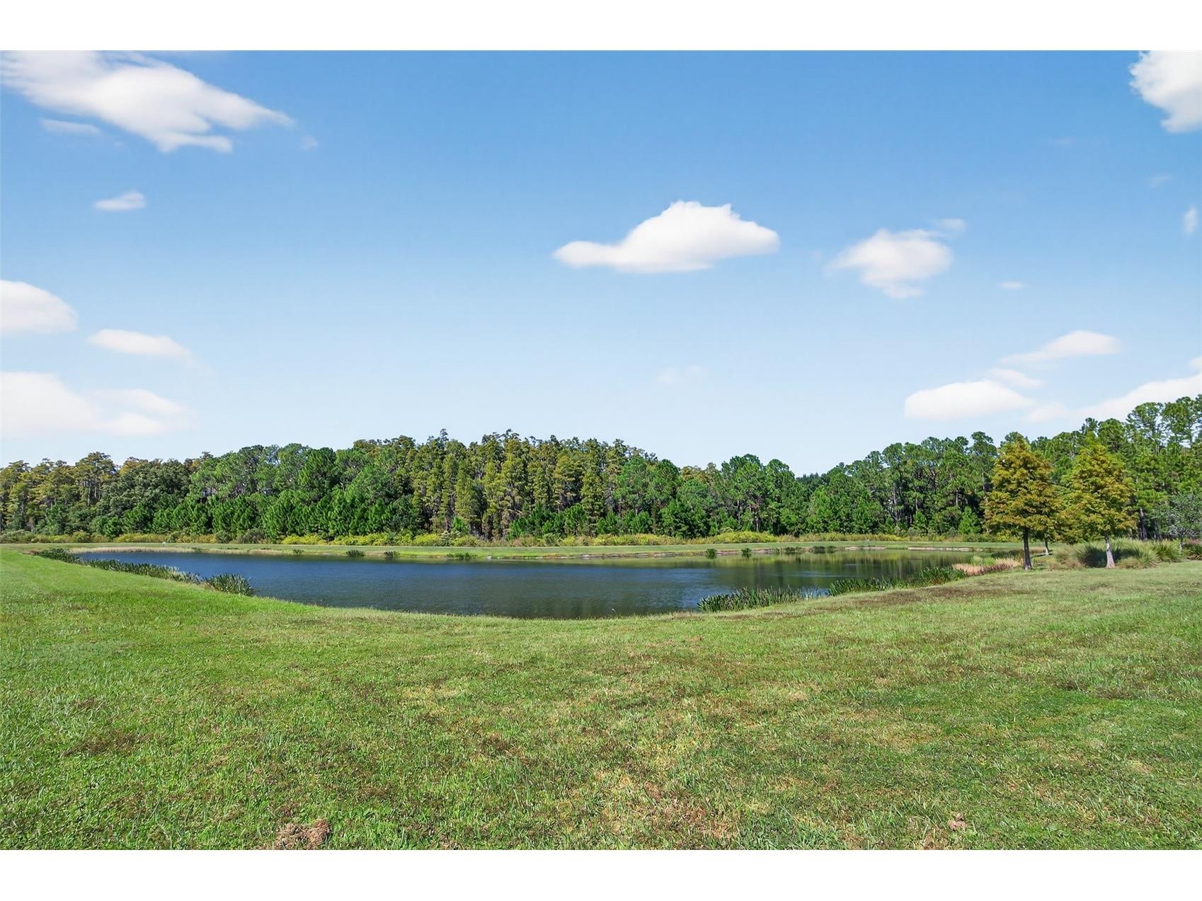 4831 Isola Court Wesley Chapel FL 33543 TB8441269 image44