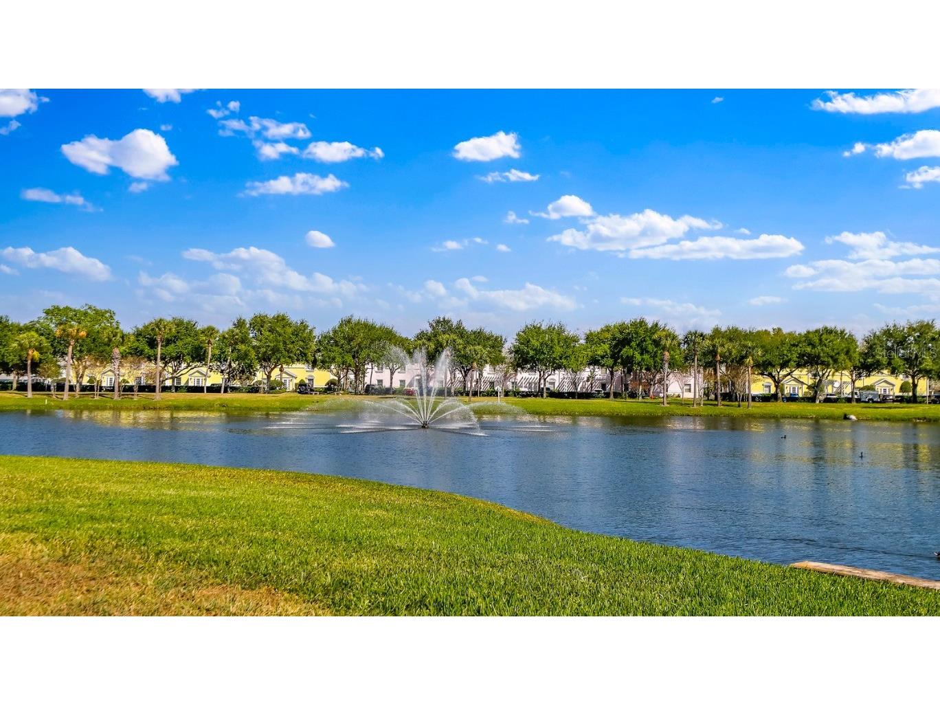 4832 Cobia Drive SE #B Saint Petersburg FL 33705 TB8322164 image24