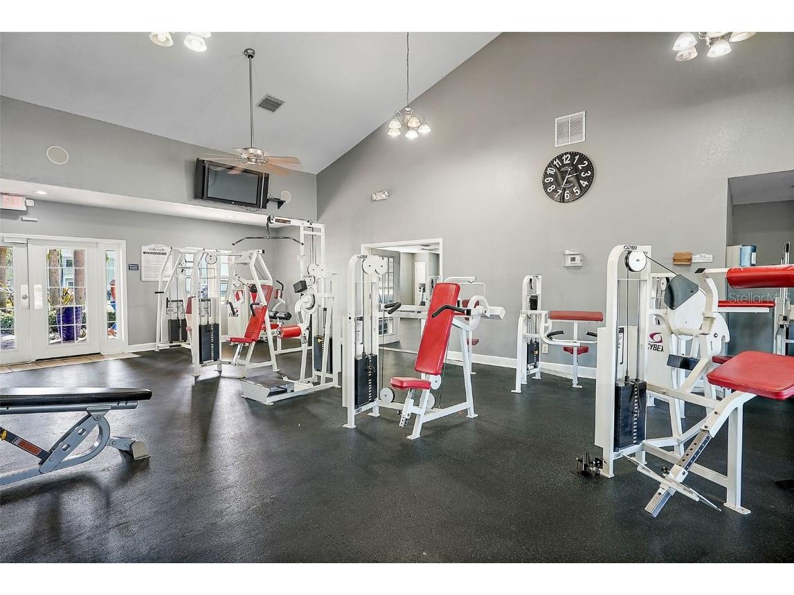 4832 Cobia Drive SE #B Saint Petersburg FL 33705 TB8322164 image30