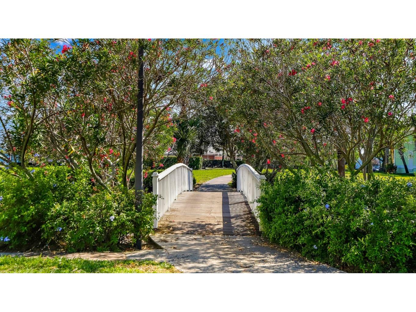 4832 Cobia Drive SE #B Saint Petersburg FL 33705 TB8322164 image42