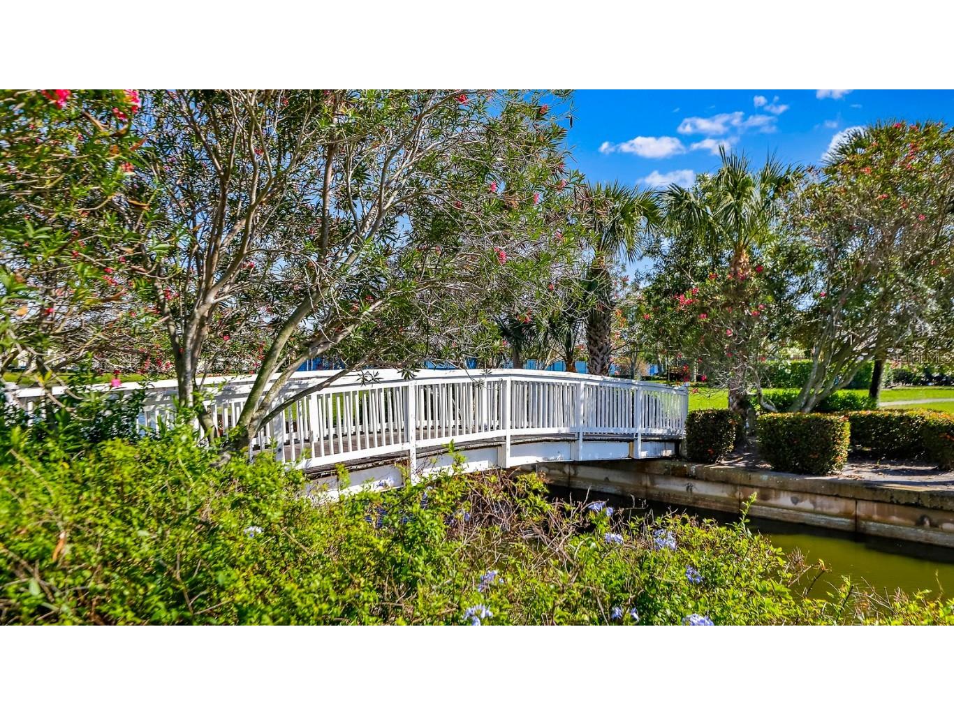 4832 Cobia Drive SE #B Saint Petersburg FL 33705 TB8322164 image43