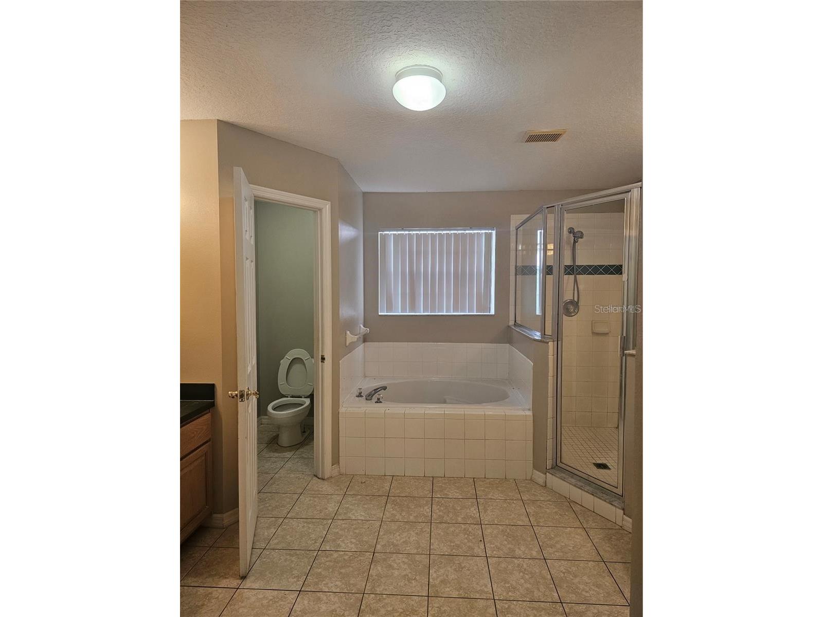 4832 Cumbrian Lakes Drive Kissimmee FL 34746 S5143572 image7