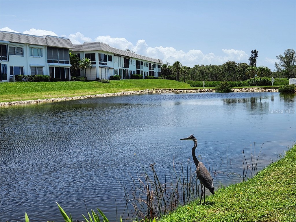 4832 Independence Drive Bradenton FL 34210 A4668992 image42