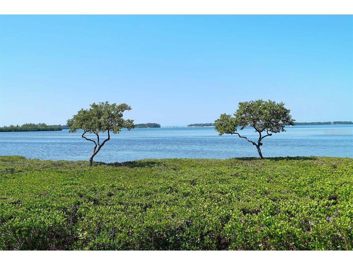 4832 Independence Drive Bradenton FL 34210 A4668992 image61