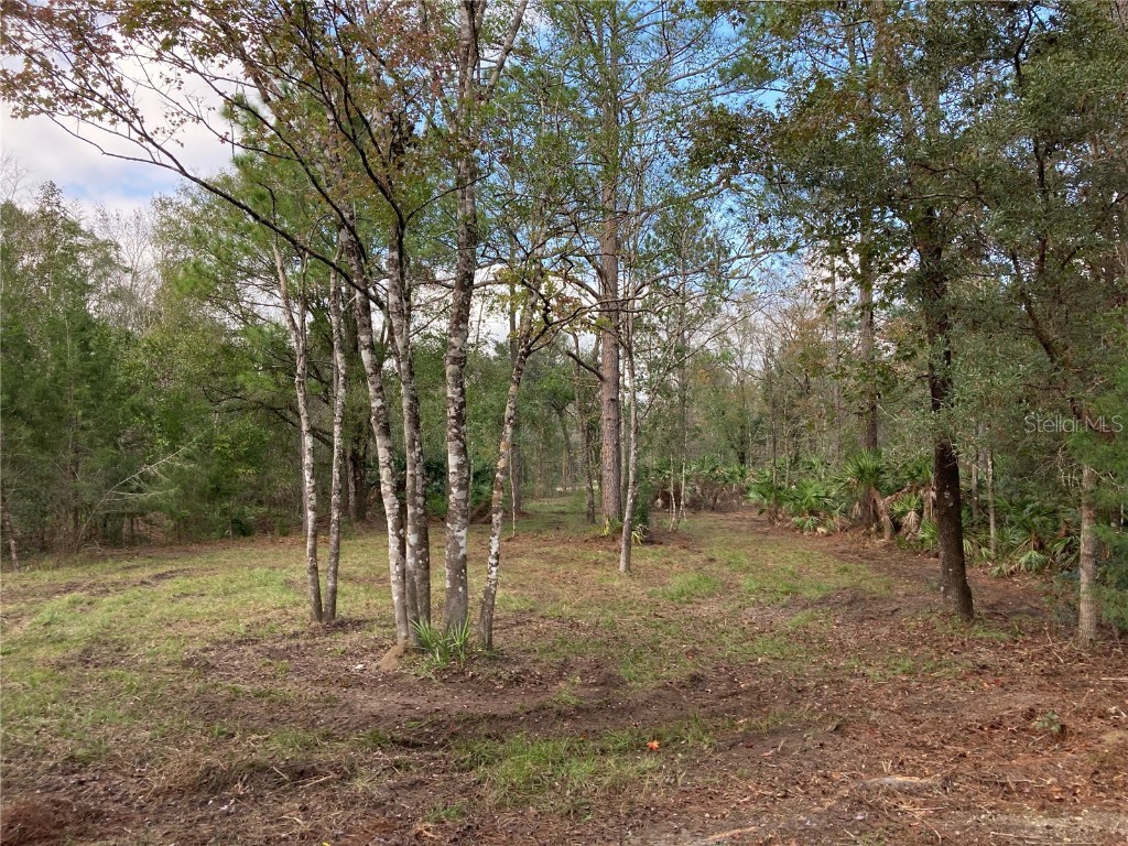 4832 Palatka Boulevard Hastings FL 32145 FC287952 image1