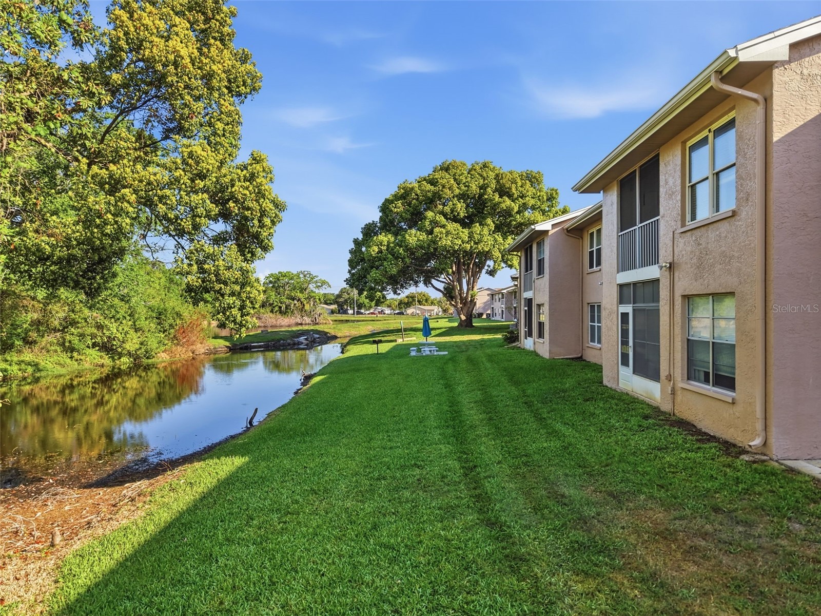 4833 Myrtle Oak Drive #12 New Port Richey FL 34653 TB8490690 image1