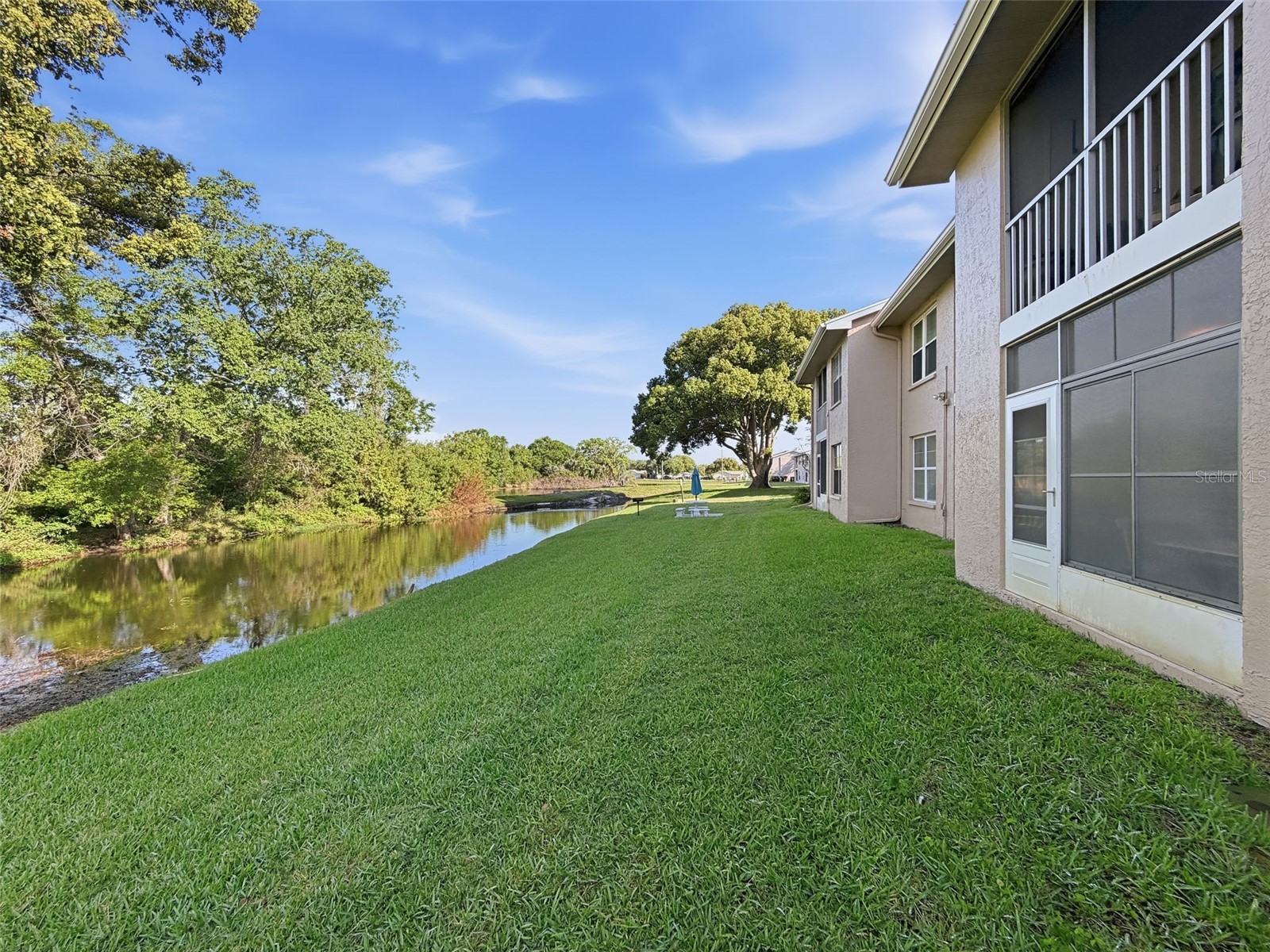 4833 Myrtle Oak Drive #12 New Port Richey FL 34653 TB8490690 image42