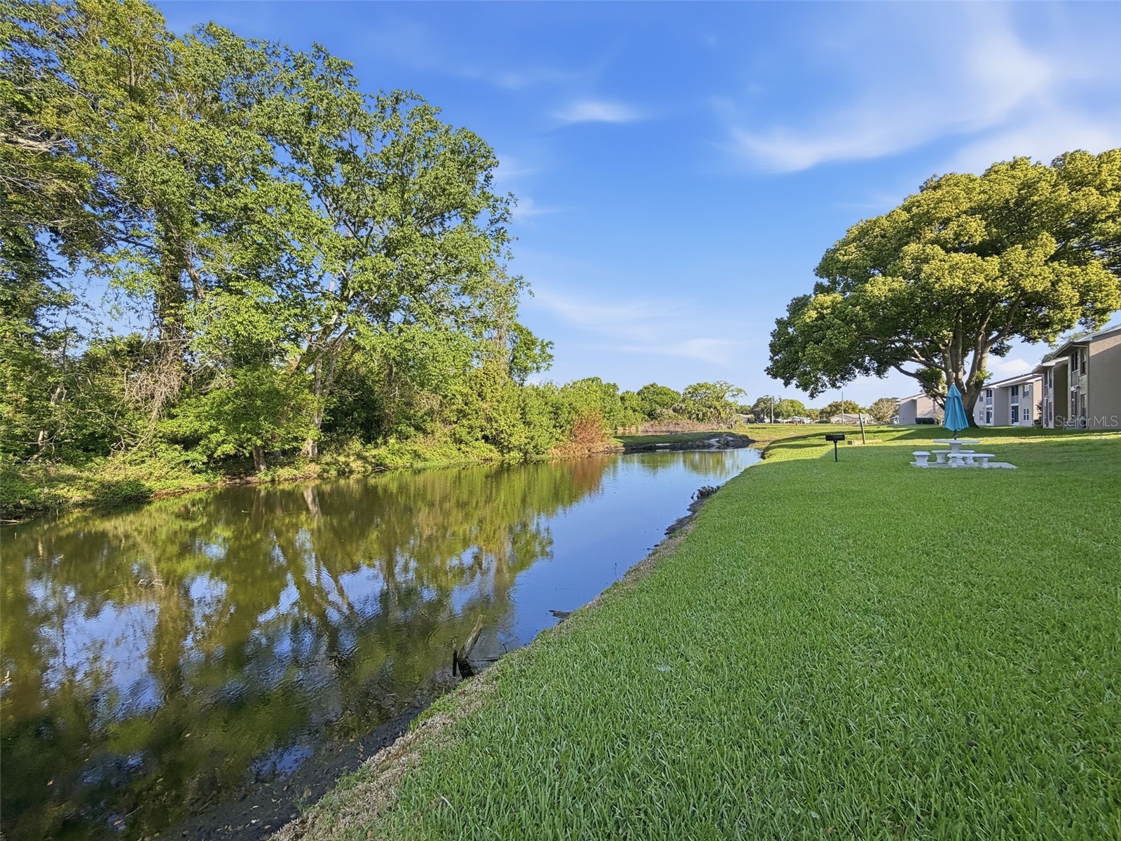 4833 Myrtle Oak Drive #12 New Port Richey FL 34653 TB8490690 image43