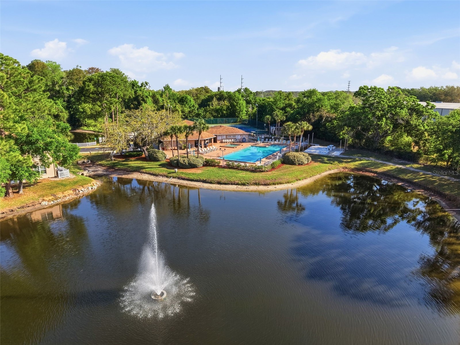 4833 Myrtle Oak Drive #12 New Port Richey FL 34653 TB8490690 image47