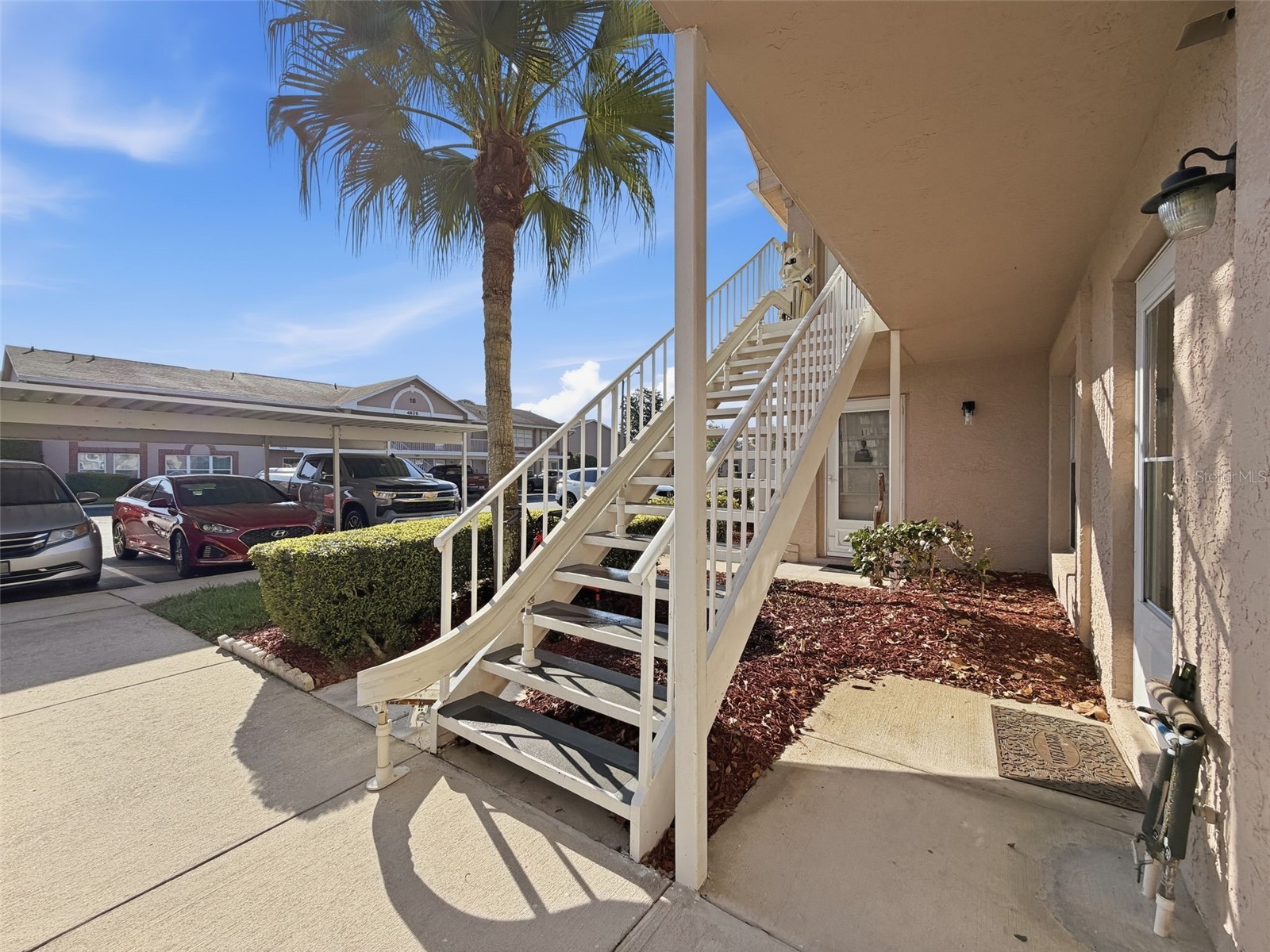 4833 Myrtle Oak Drive #12 New Port Richey FL 34653 TB8490690 image5