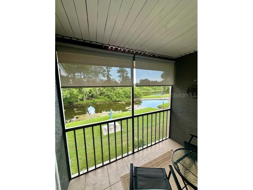 4833 Myrtle Oak Drive #25 New Port Richey FL 34653 W7887242 image15