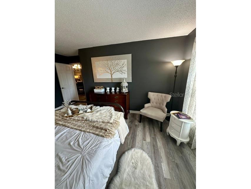 4833 Myrtle Oak Drive #25 New Port Richey FL 34653 W7887242 image19