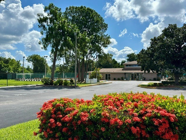 4833 Myrtle Oak Drive #25 New Port Richey FL 34653 W7887242 image34
