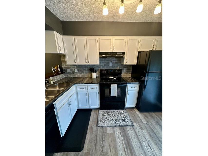 4833 Myrtle Oak Drive #25 New Port Richey FL 34653 W7887242 image9