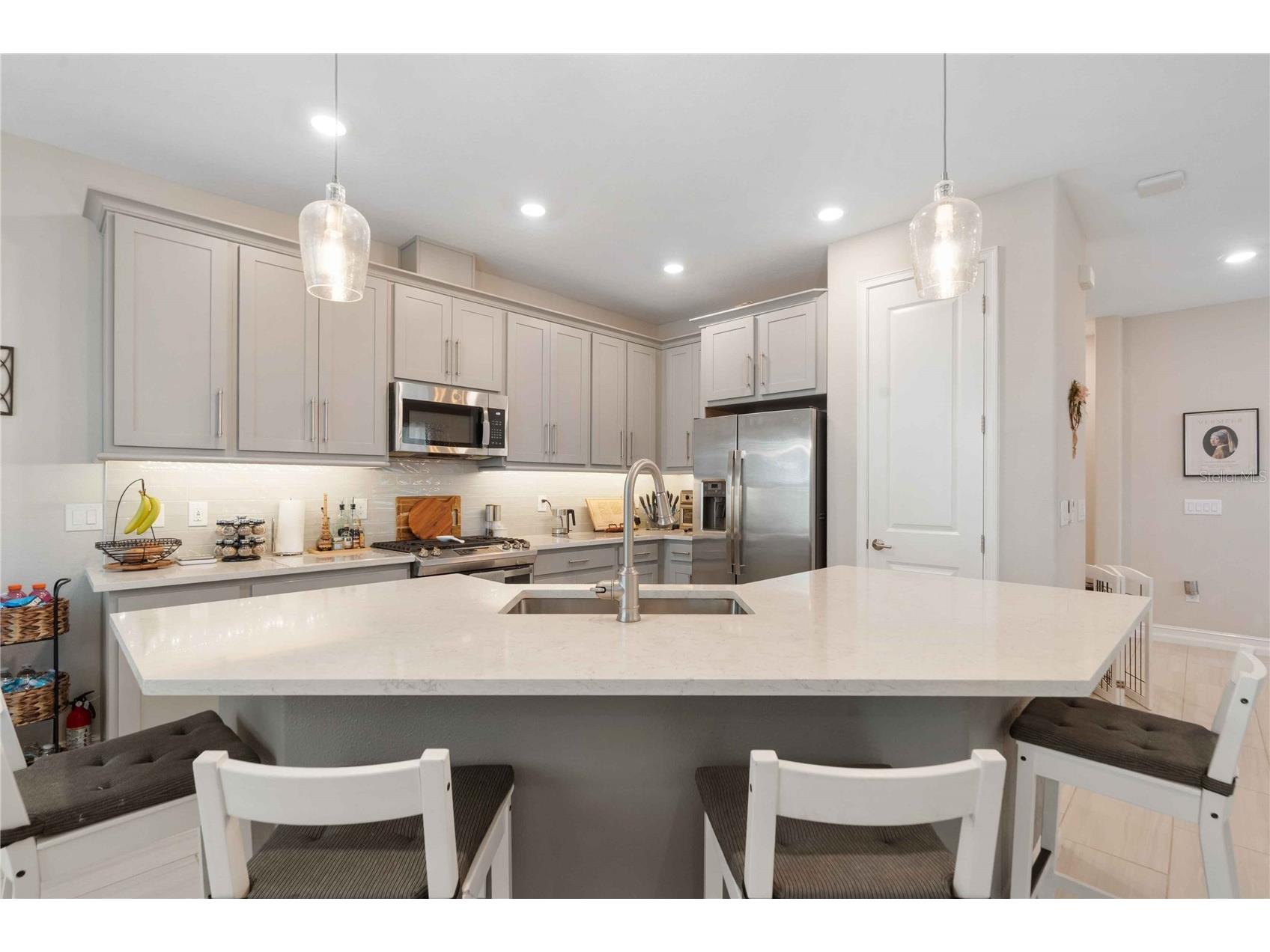 4833 San Martino Drive Wesley Chapel FL 33543 W7887069 image13