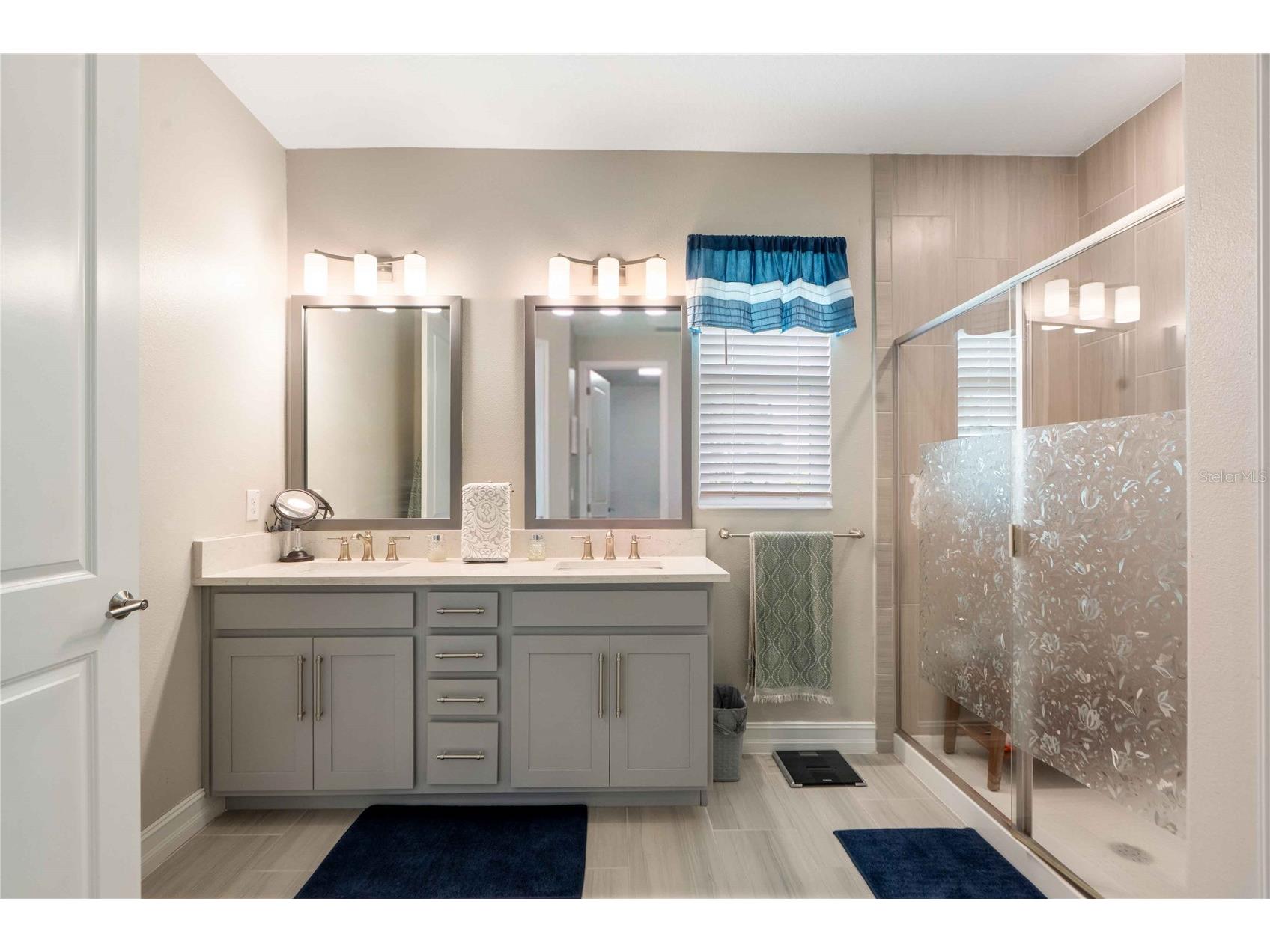 4833 San Martino Drive Wesley Chapel FL 33543 W7887069 image23