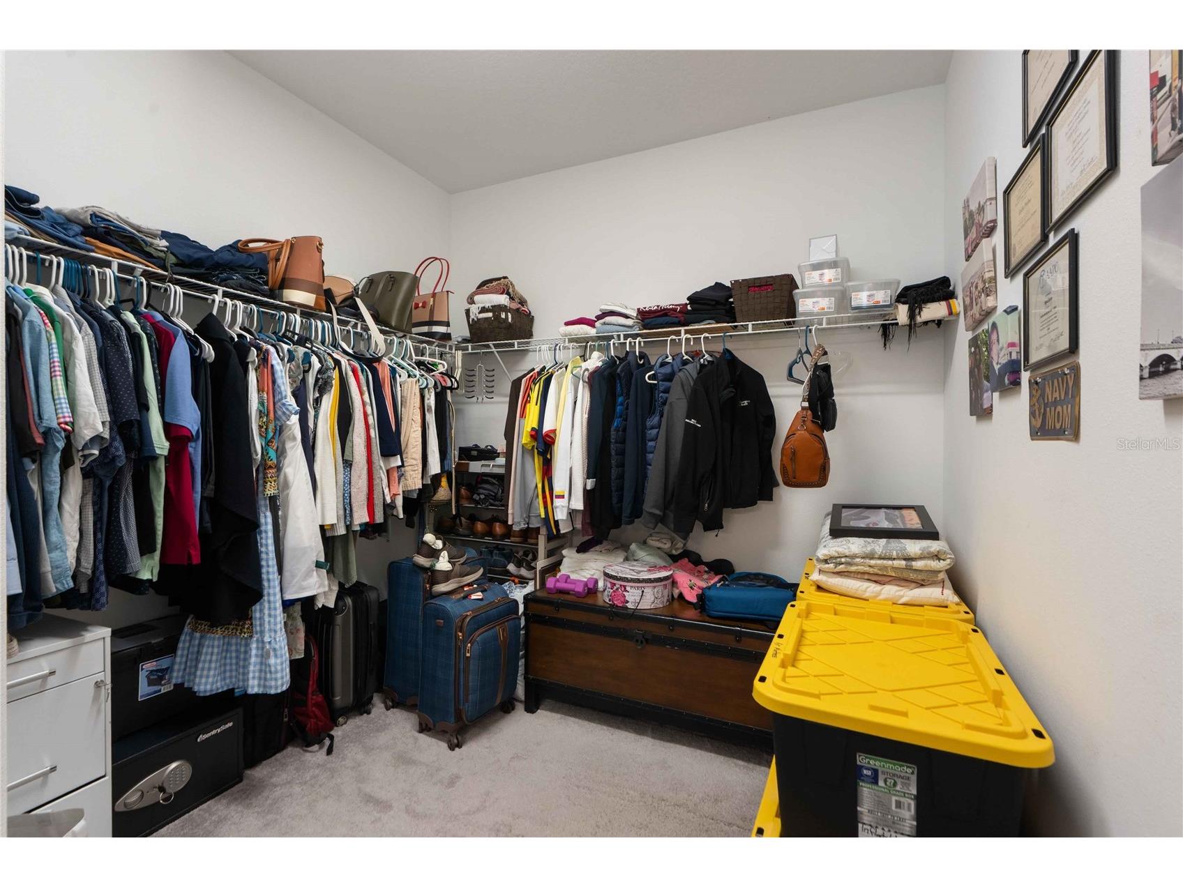 4833 San Martino Drive Wesley Chapel FL 33543 W7887069 image24