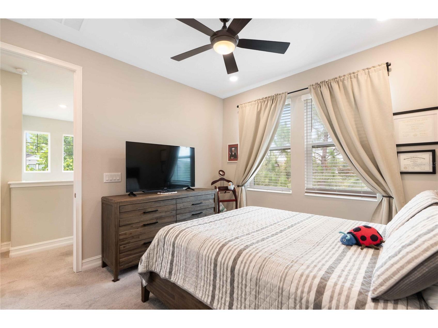 4833 San Martino Drive Wesley Chapel FL 33543 W7887069 image26