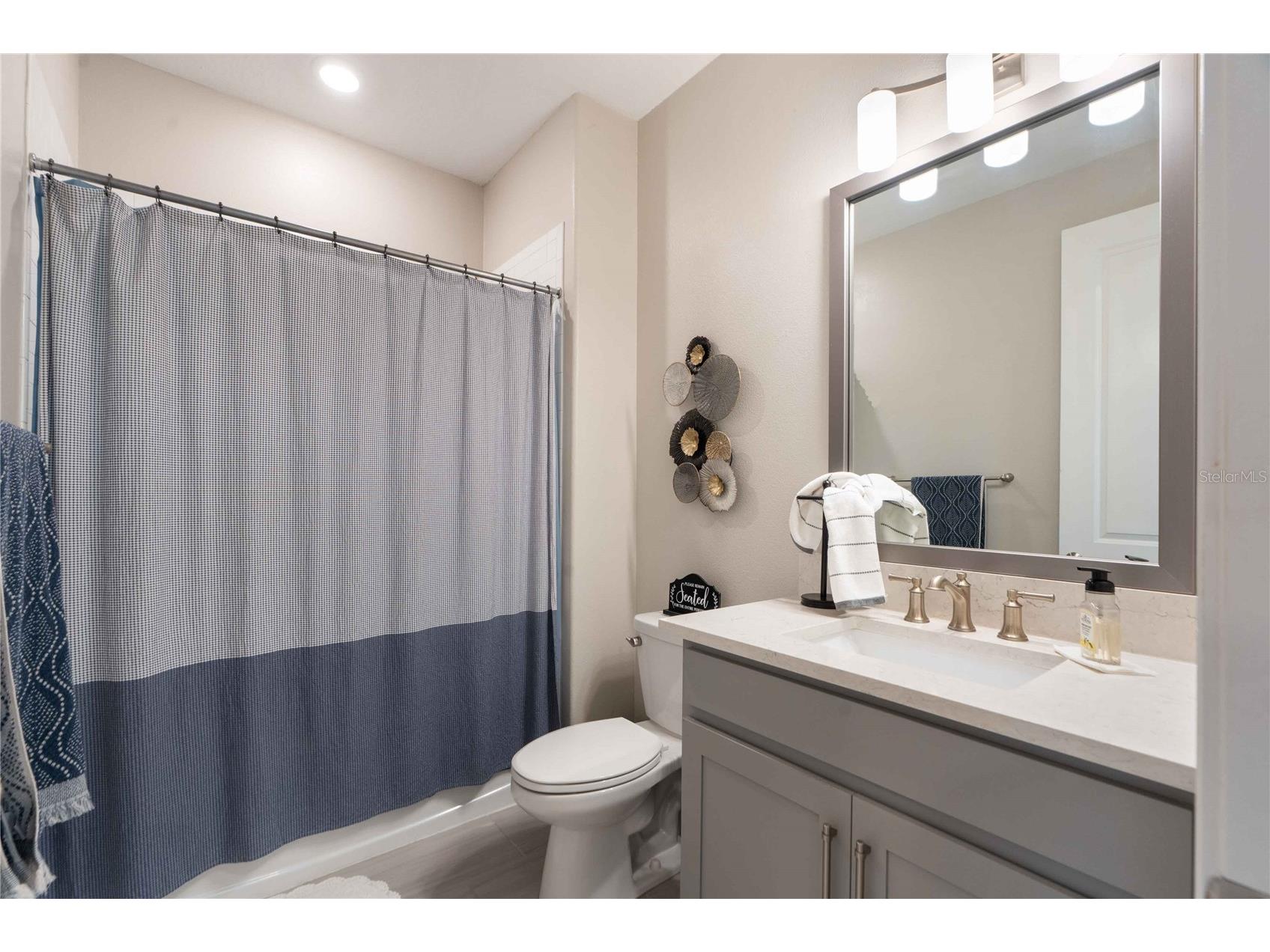 4833 San Martino Drive Wesley Chapel FL 33543 W7887069 image31