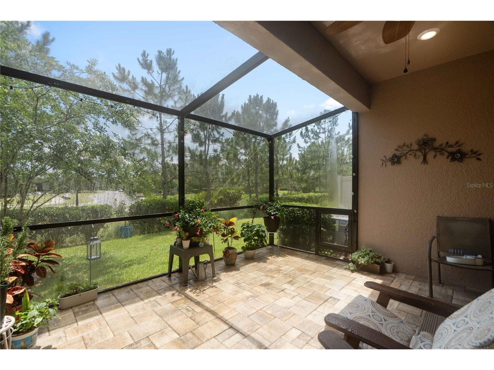 4833 San Martino Drive Wesley Chapel FL 33543 W7887069 image35
