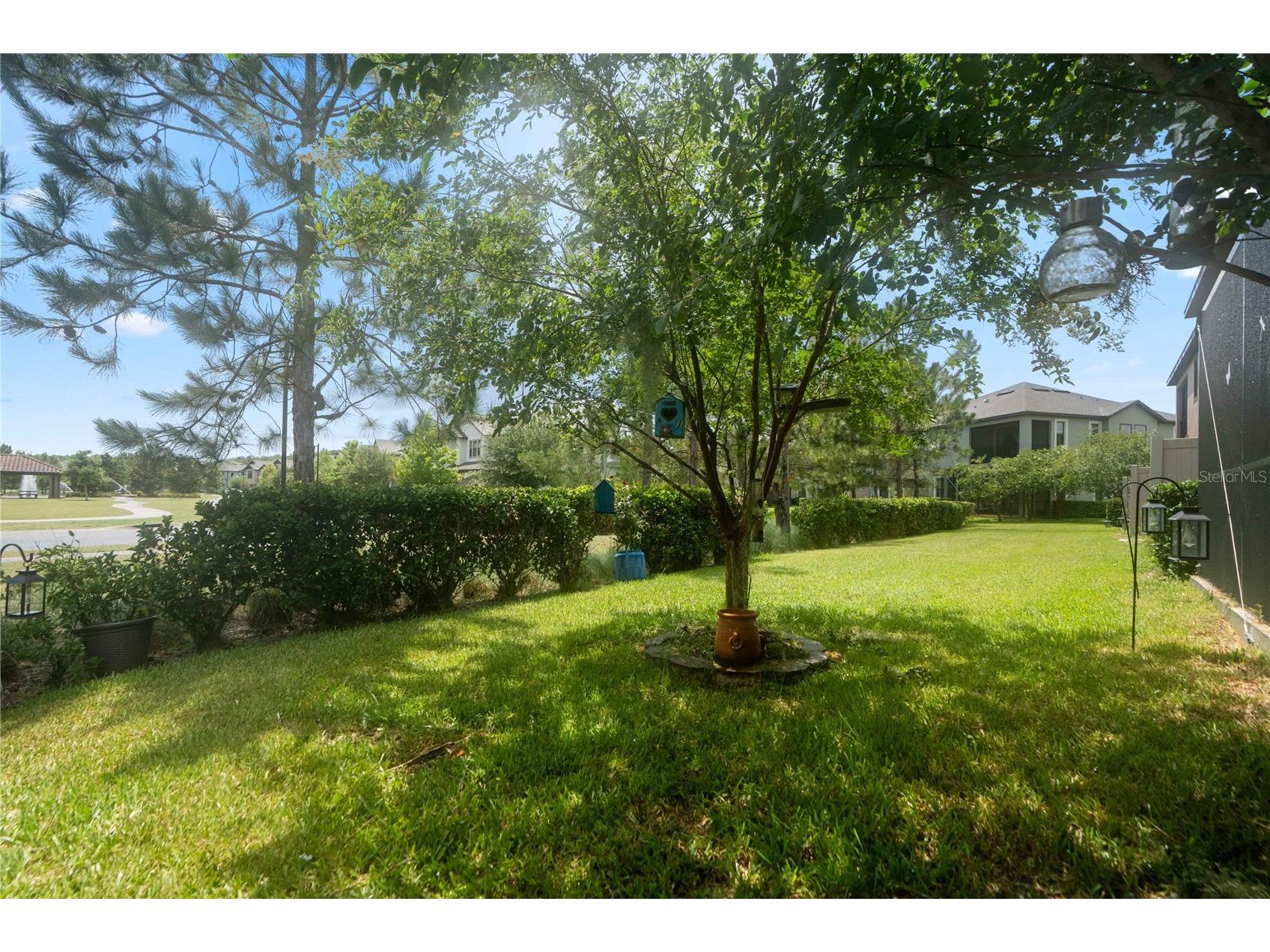 4833 San Martino Drive Wesley Chapel FL 33543 W7887069 image36