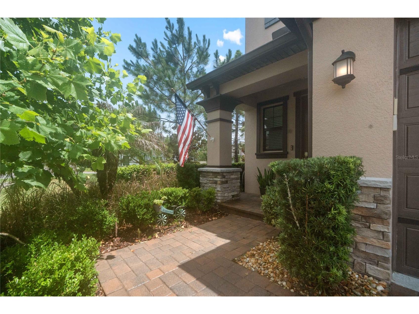 4833 San Martino Drive Wesley Chapel FL 33543 W7887069 image4