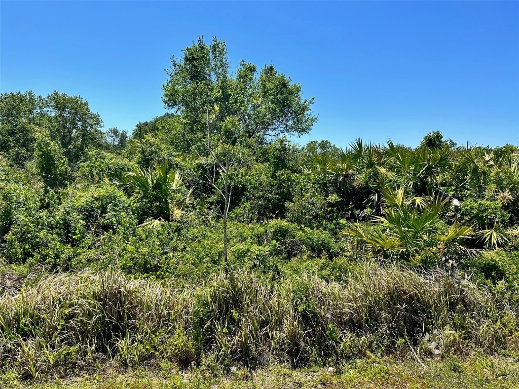 4833 SE Hwy 31 Arcadia FL 34266 C7474258 image1