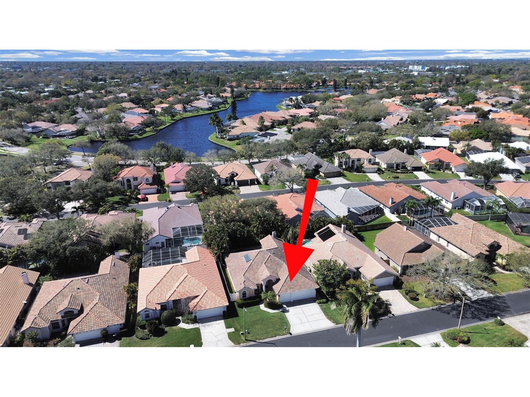 4833 Windmill Palm Terrace NE Saint Petersburg FL 33703 TB8481615 image3