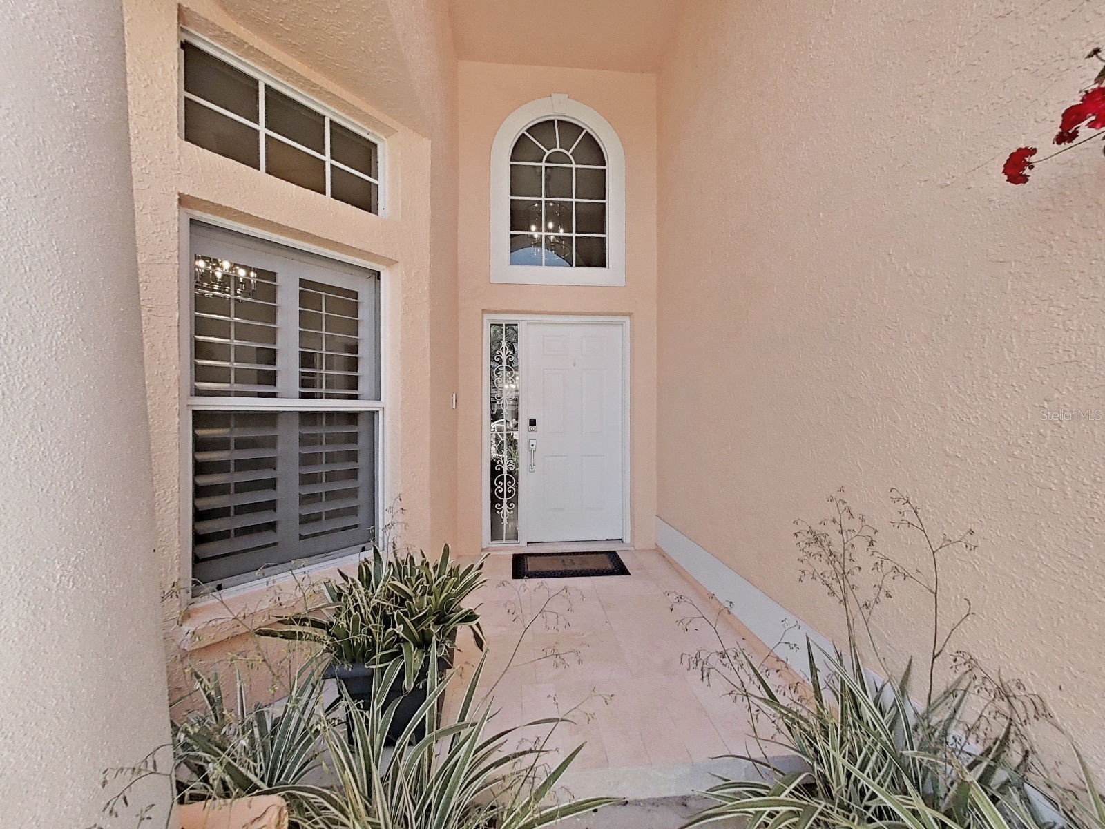 4833 Windmill Palm Terrace NE Saint Petersburg FL 33703 TB8481615 image6
