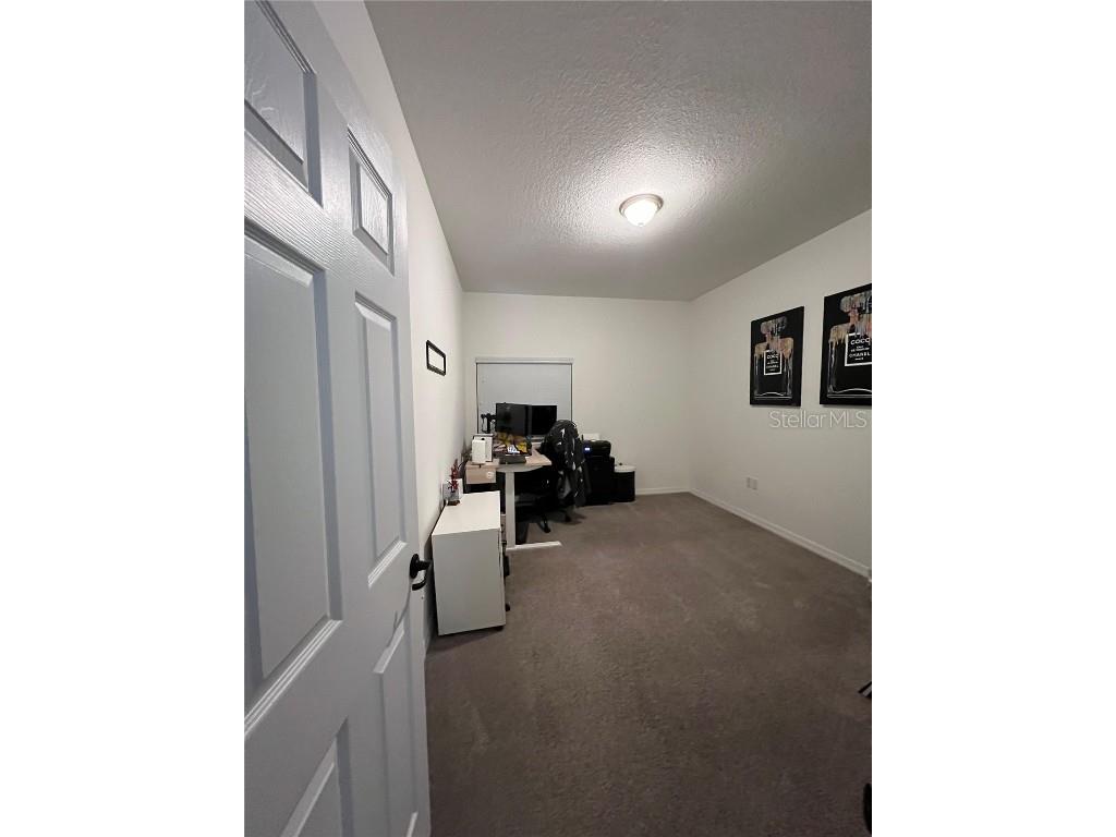 4834 Corrado Way Ave Maria FL 34142 S5139349 image14