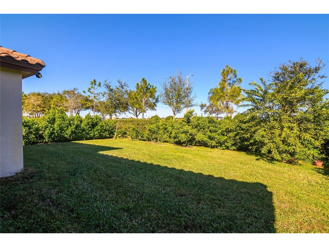 4834 Corrado Way Ave Maria FL 34142 S5139349 image30