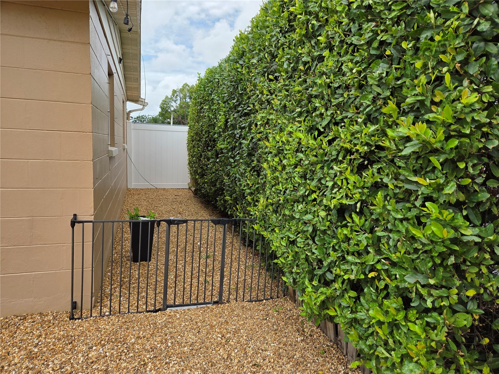 4834 Gaslight Avenue Holiday FL 34690 TB8515413 image23