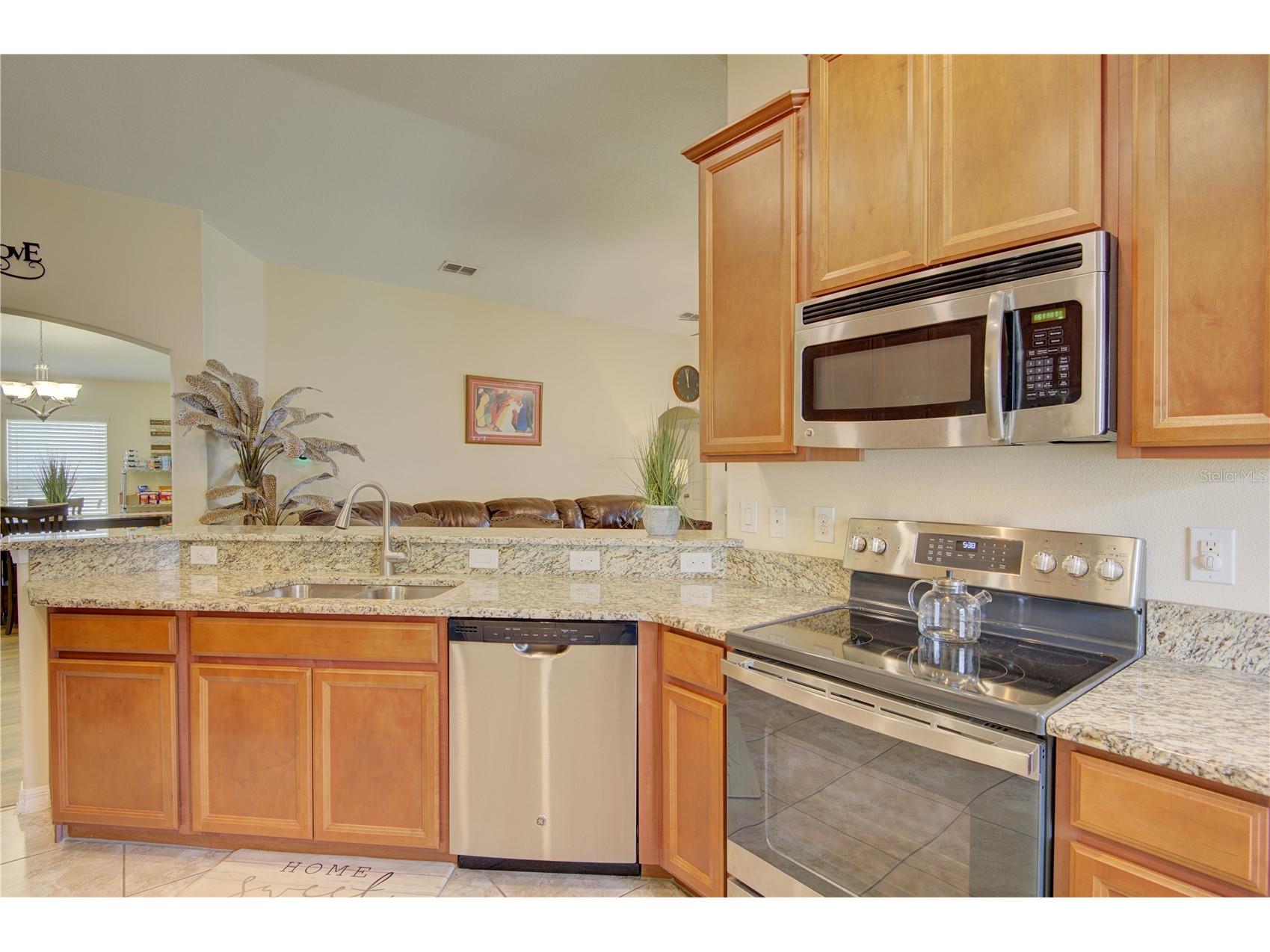 4834 Havilland Drive Mount Dora FL 32757 O6417090 image11