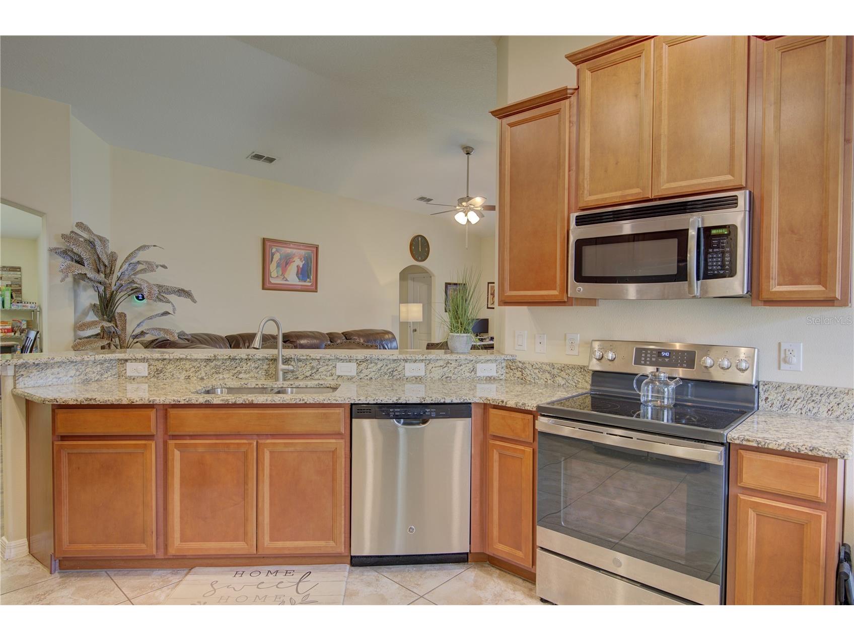 4834 Havilland Drive Mount Dora FL 32757 O6417090 image12
