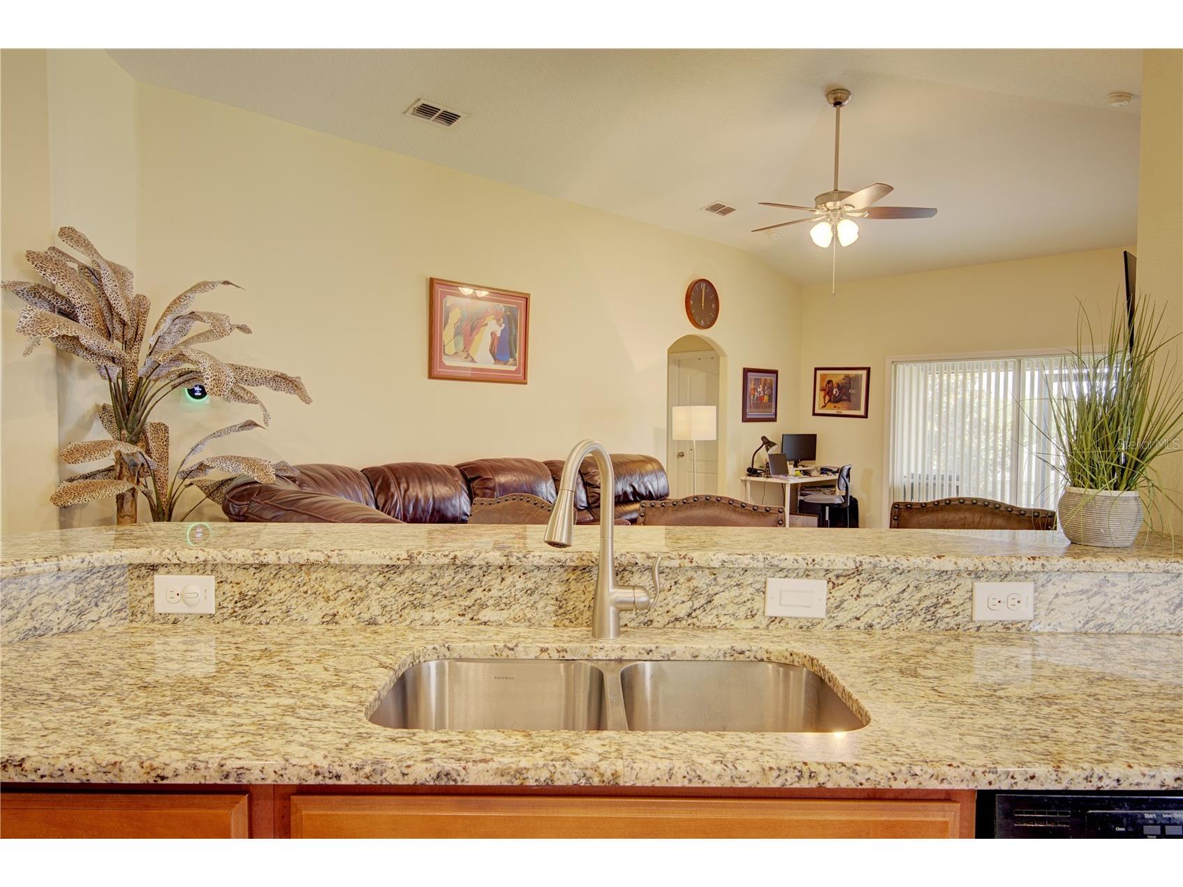 4834 Havilland Drive Mount Dora FL 32757 O6417090 image14