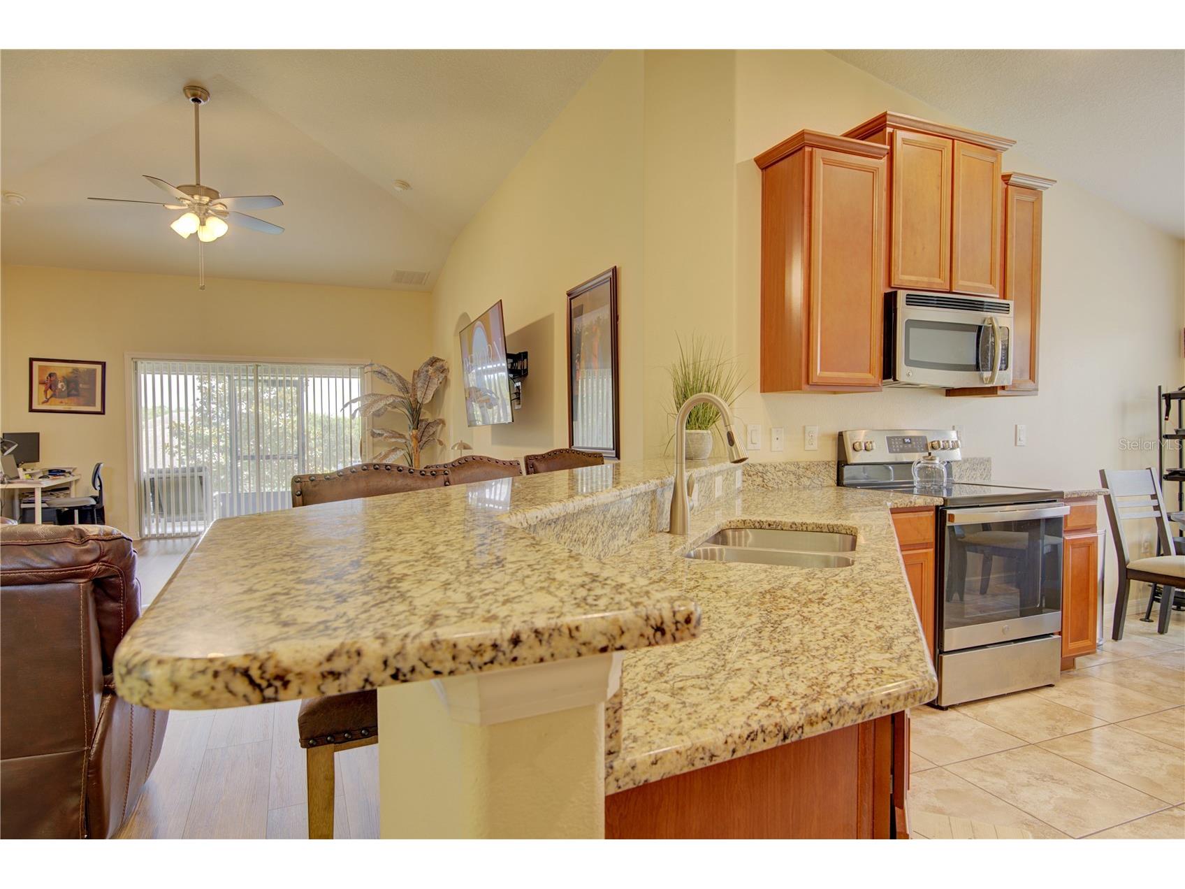4834 Havilland Drive Mount Dora FL 32757 O6417090 image17