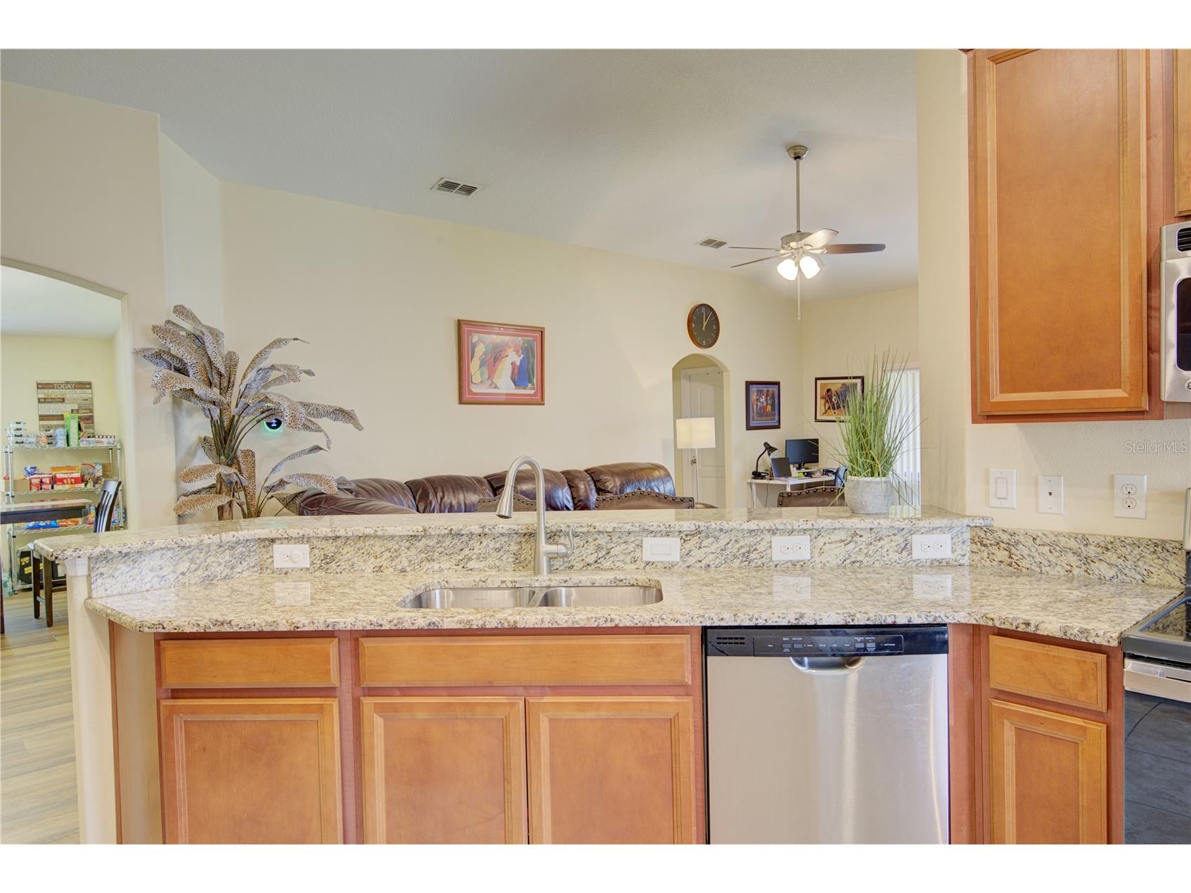 4834 Havilland Drive Mount Dora FL 32757 O6417090 image19