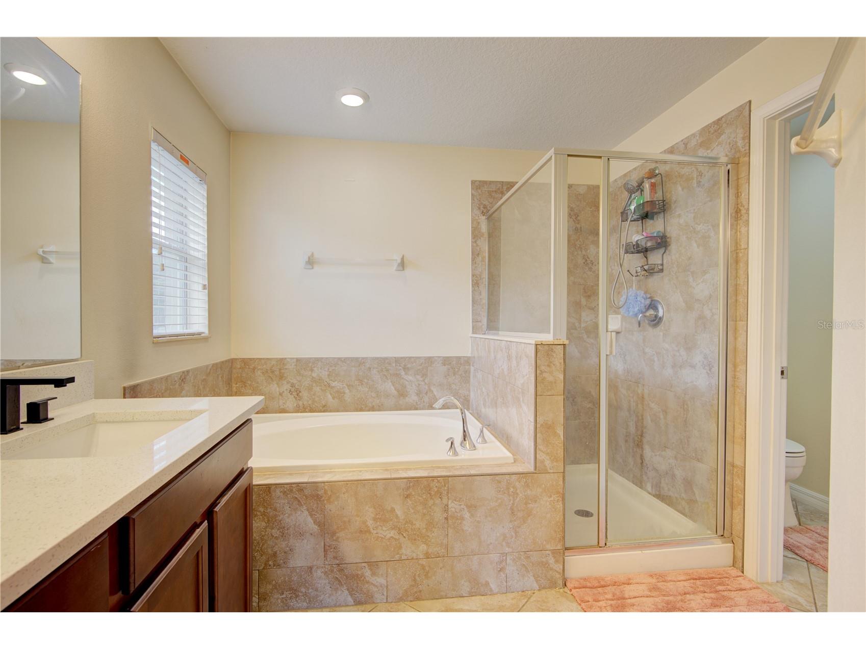 4834 Havilland Drive Mount Dora FL 32757 O6417090 image28