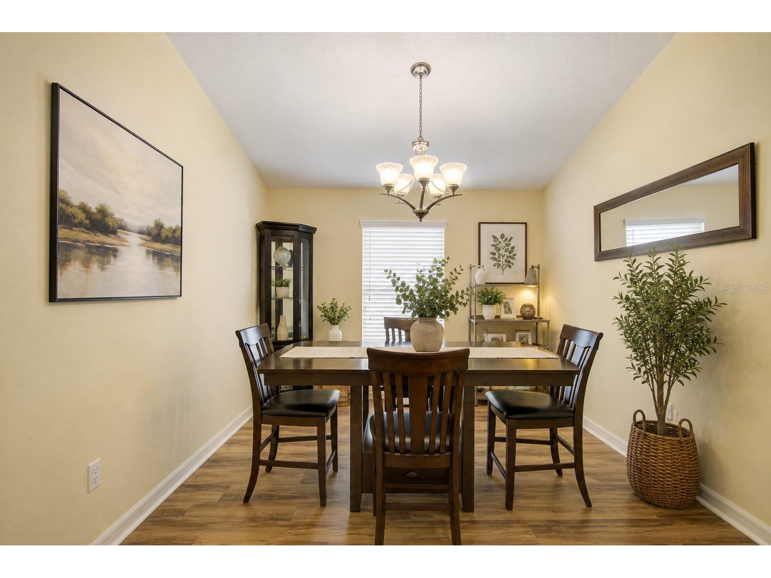 4834 Havilland Drive Mount Dora FL 32757 O6417090 image4