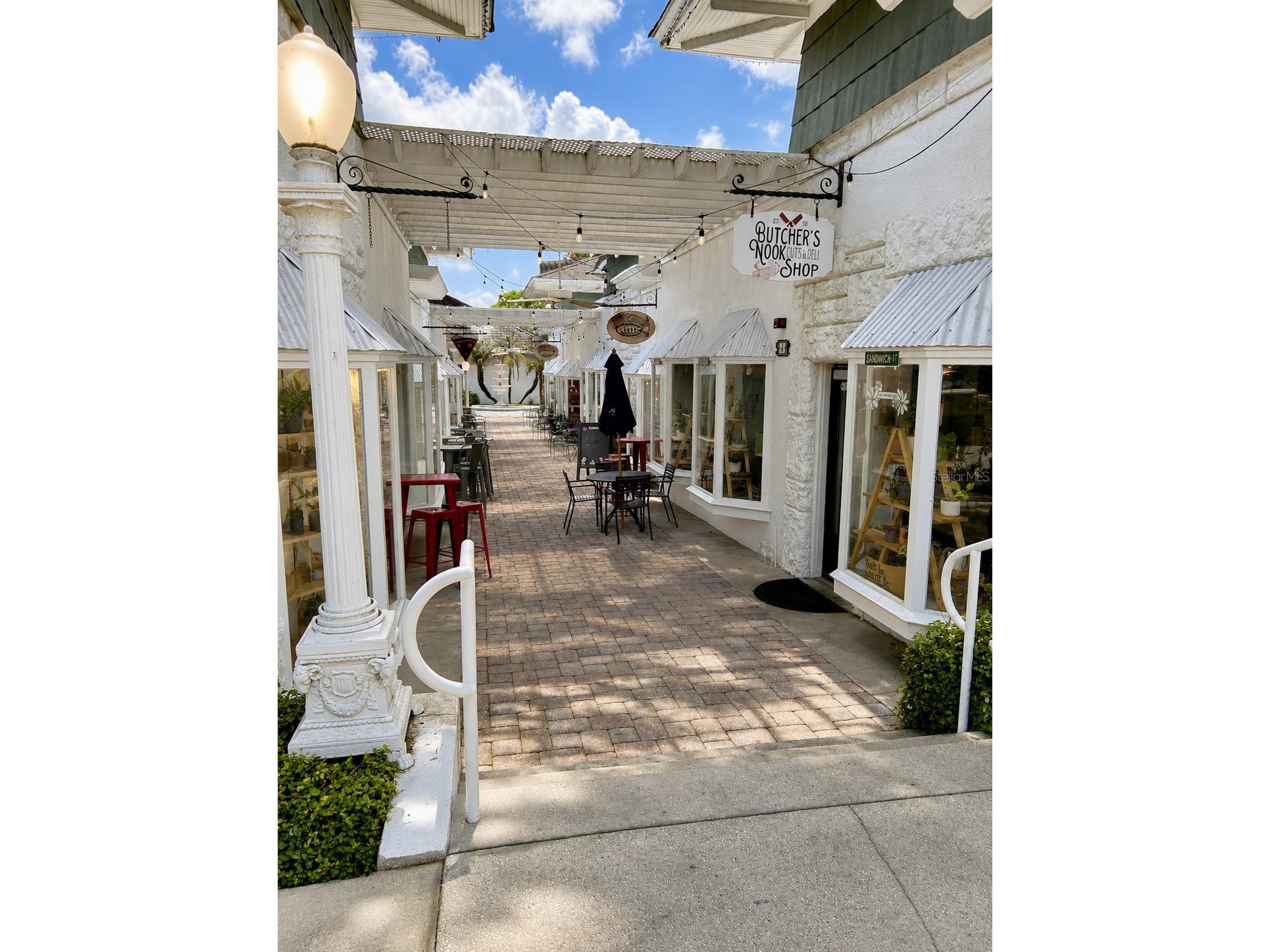 4834 Havilland Drive Mount Dora FL 32757 O6417090 image48