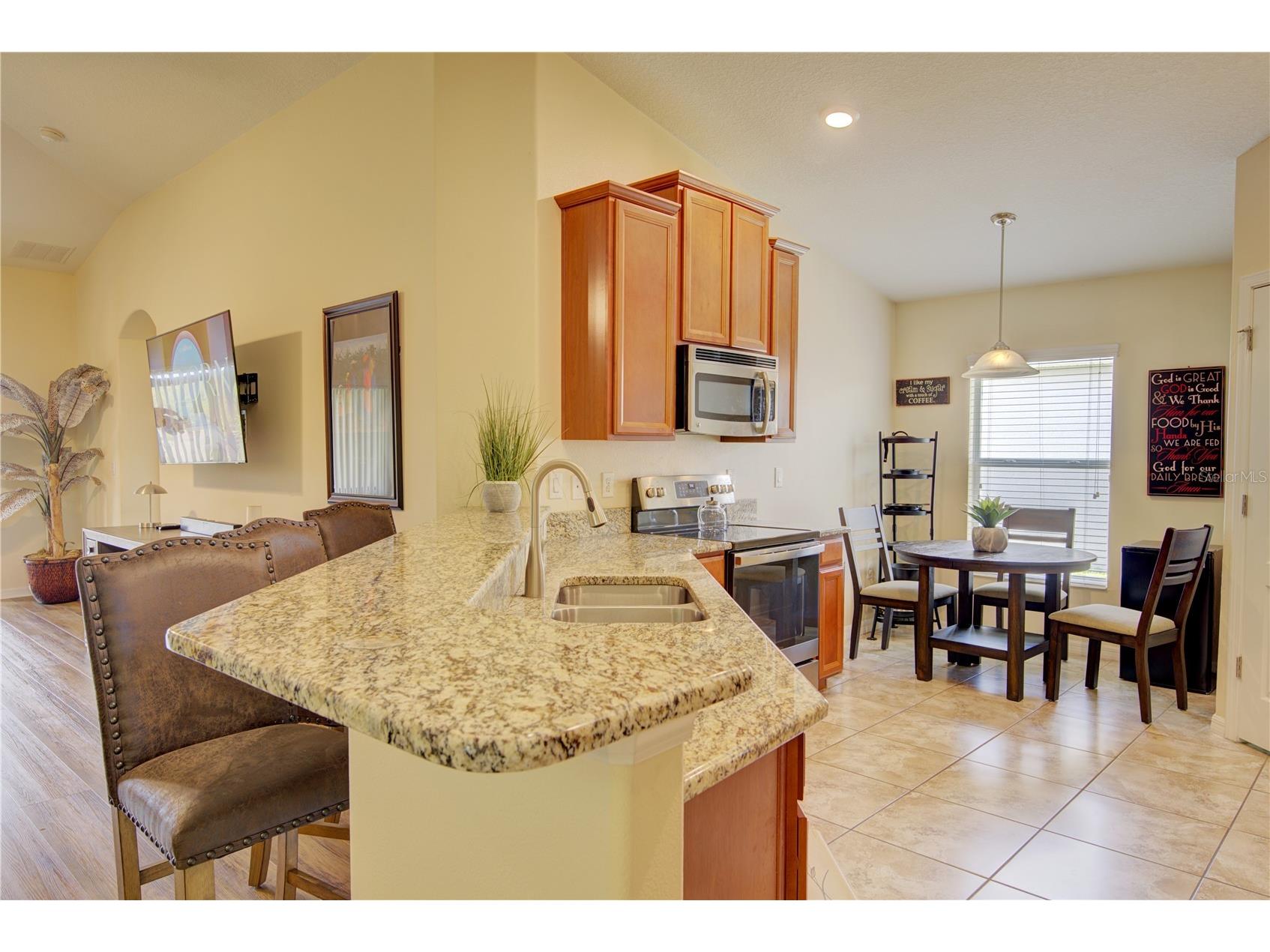 4834 Havilland Drive Mount Dora FL 32757 O6417090 image5
