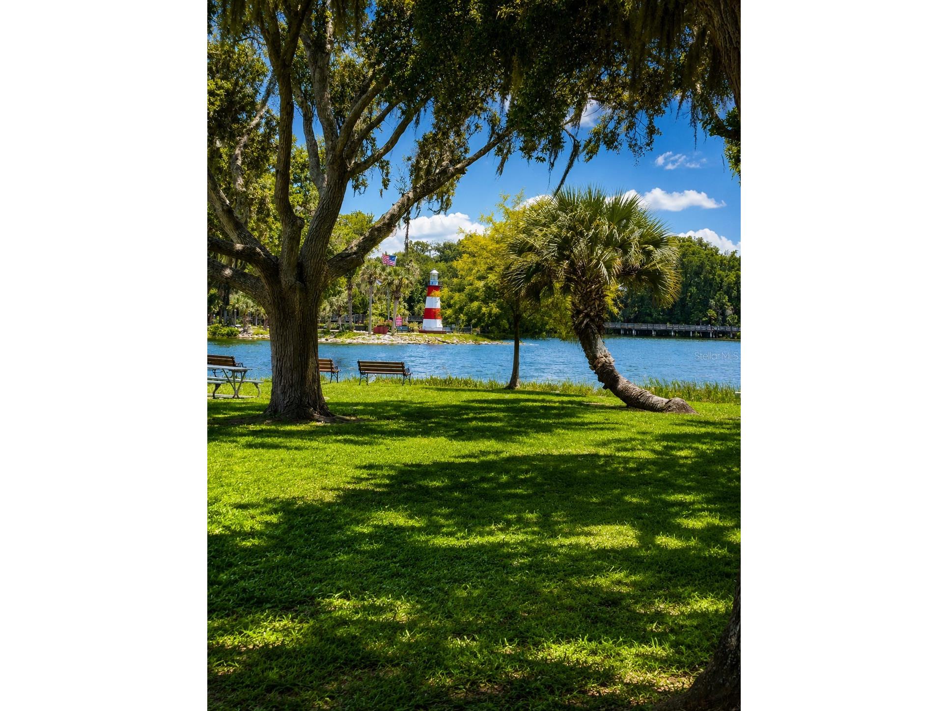4834 Havilland Drive Mount Dora FL 32757 O6417090 image55