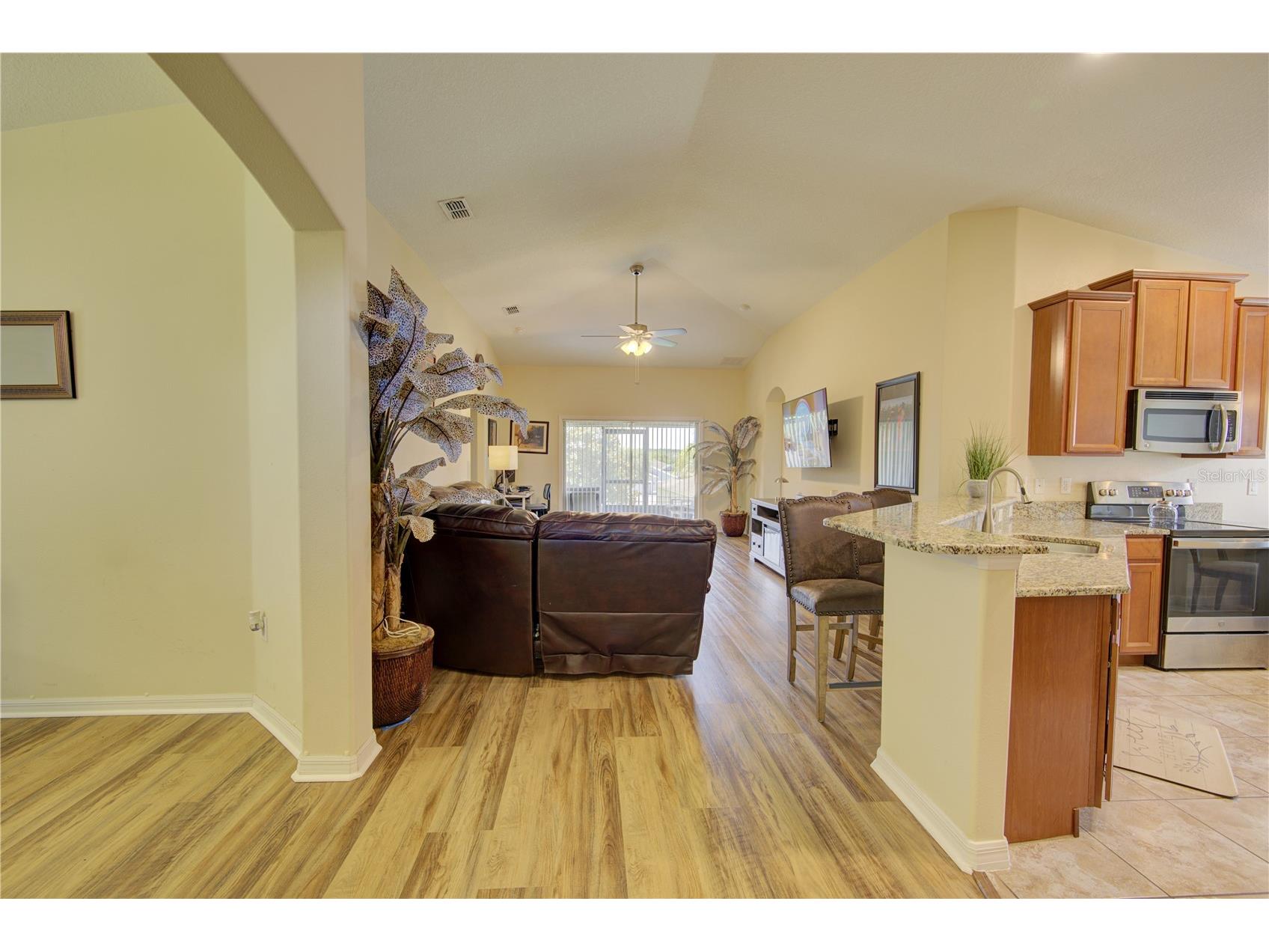 4834 Havilland Drive Mount Dora FL 32757 O6417090 image8