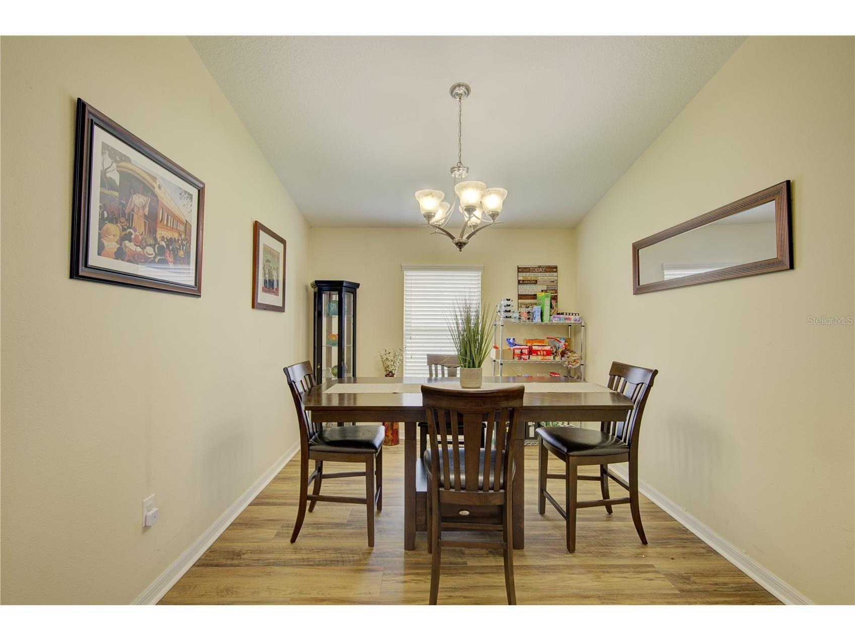 4834 Havilland Drive Mount Dora FL 32757 O6417090 image9
