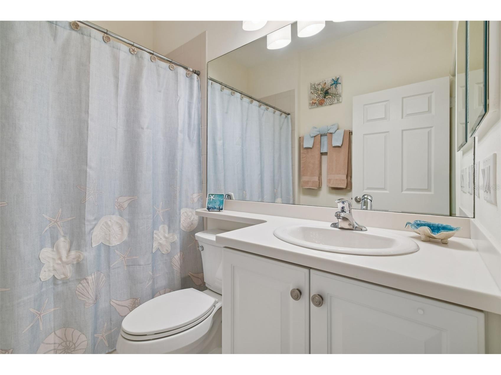 4834 Marble Springs Circle Wimauma FL 33598 TB8481463 image31